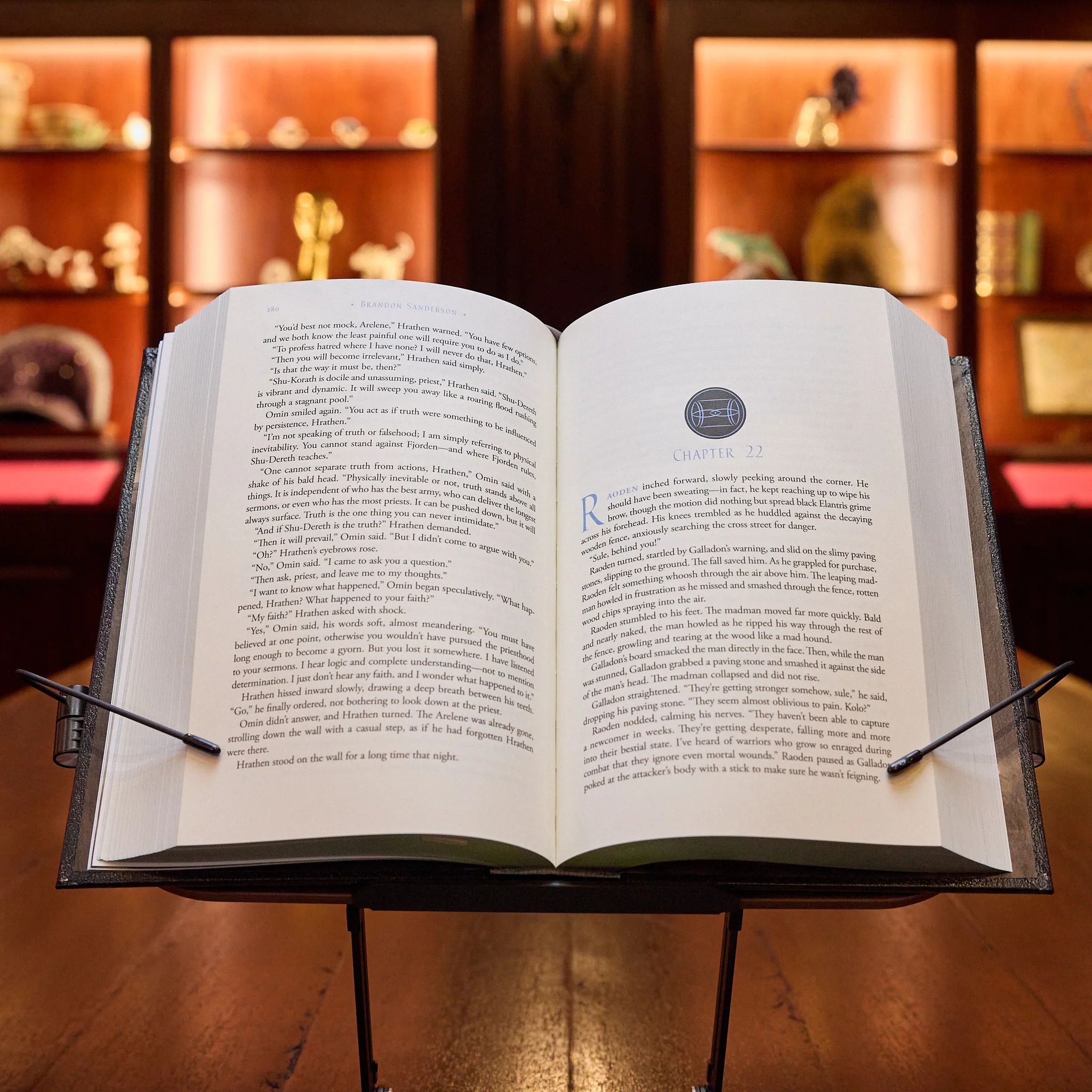 Elantris Leatherbound Book - Image 5