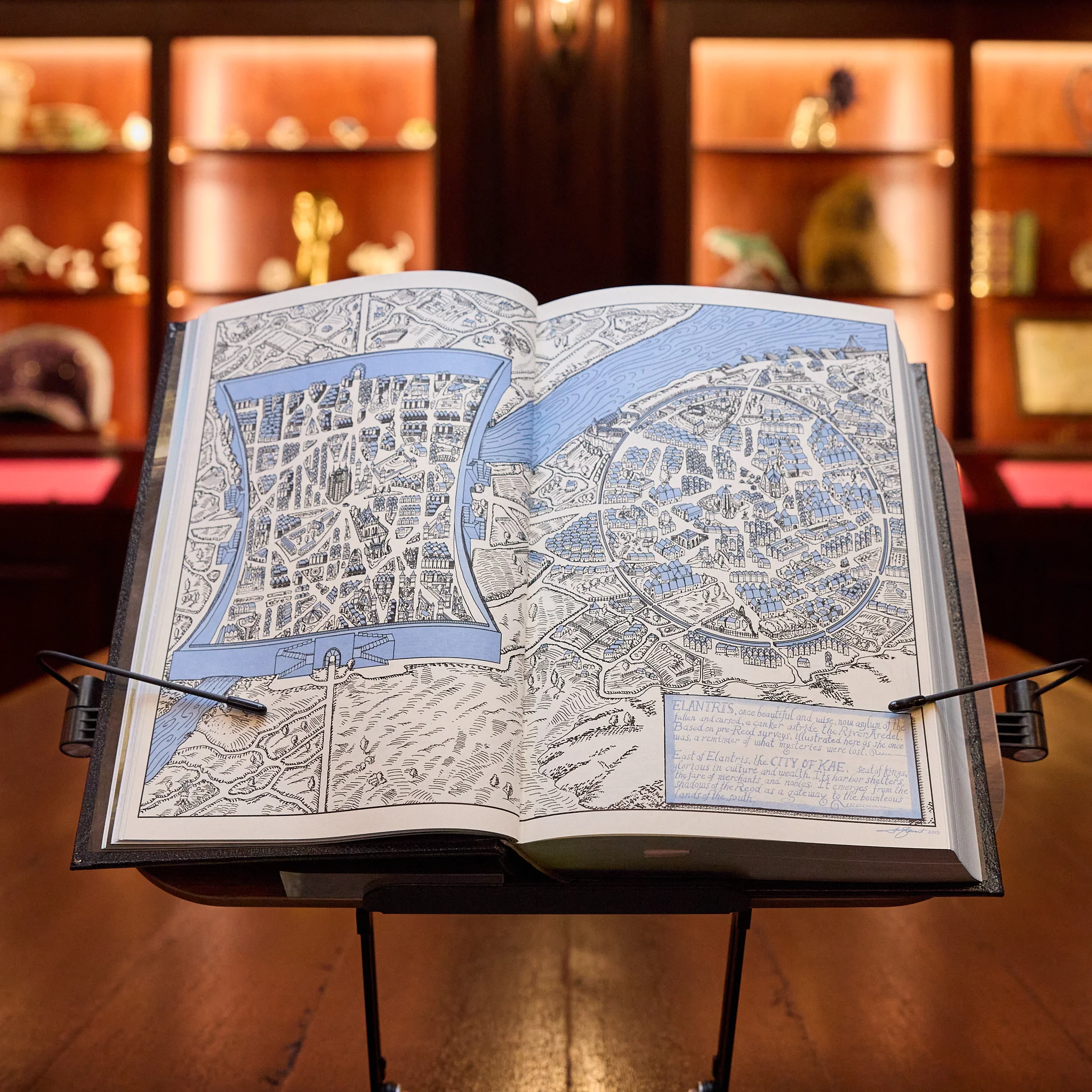 Elantris Leatherbound Book - Image 7