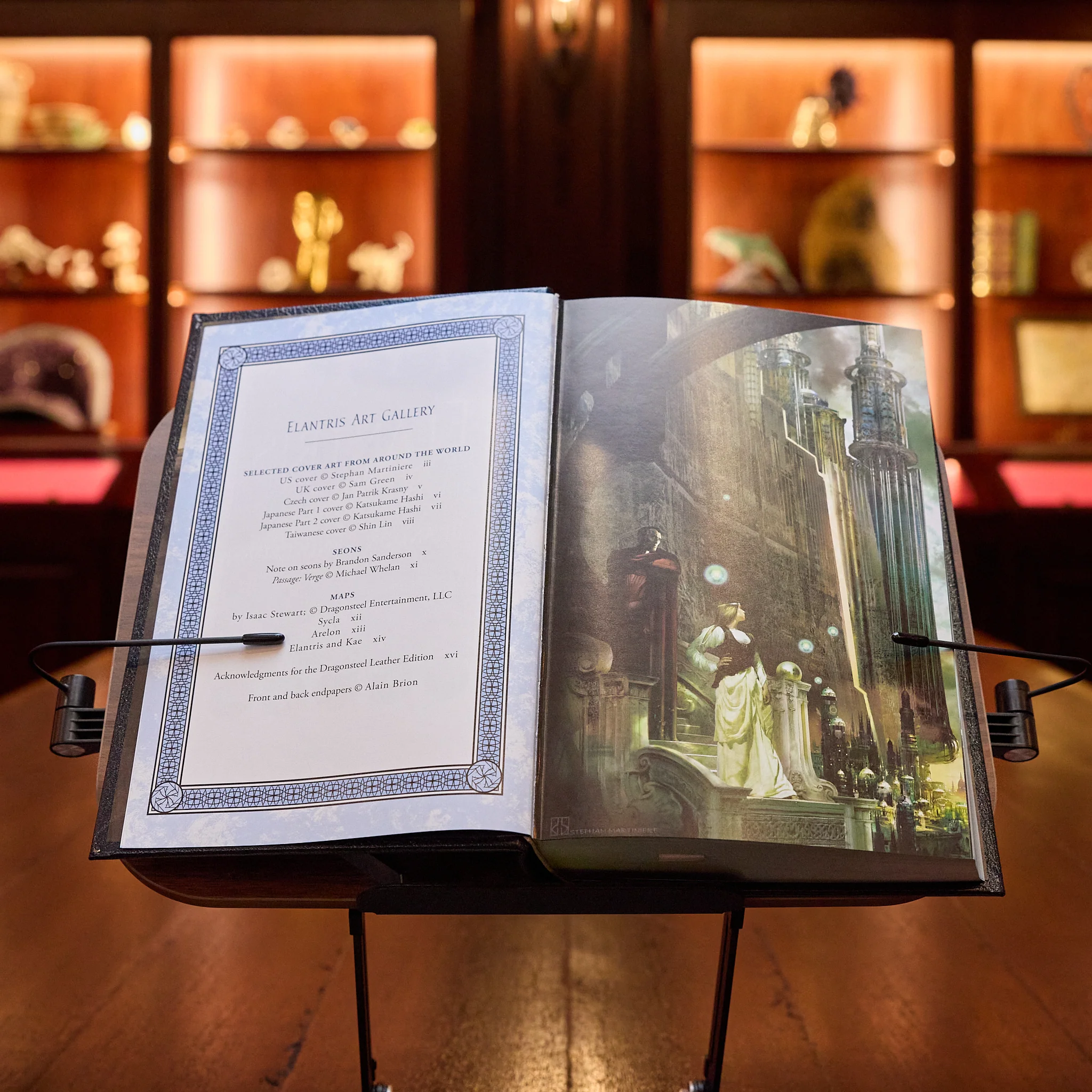 Elantris Leatherbound Book - Image 6