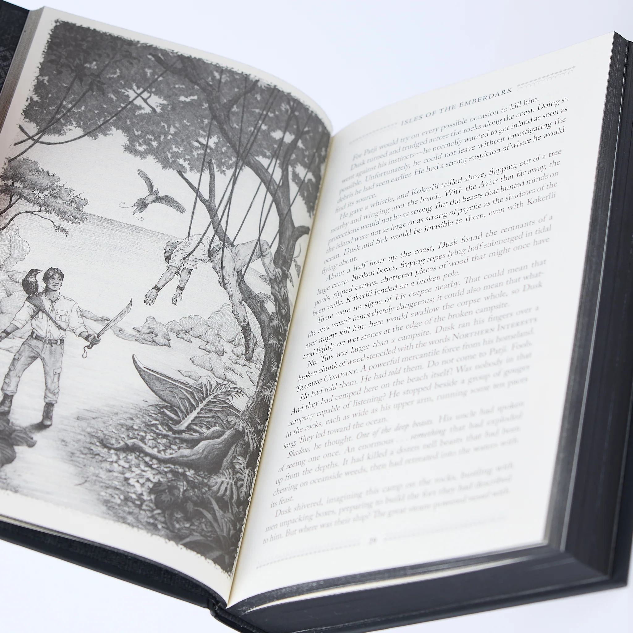 Isles of the Emberdark Premium Hardcover Book - Image 3